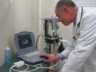 Dr. Jim examines an ultrasound image