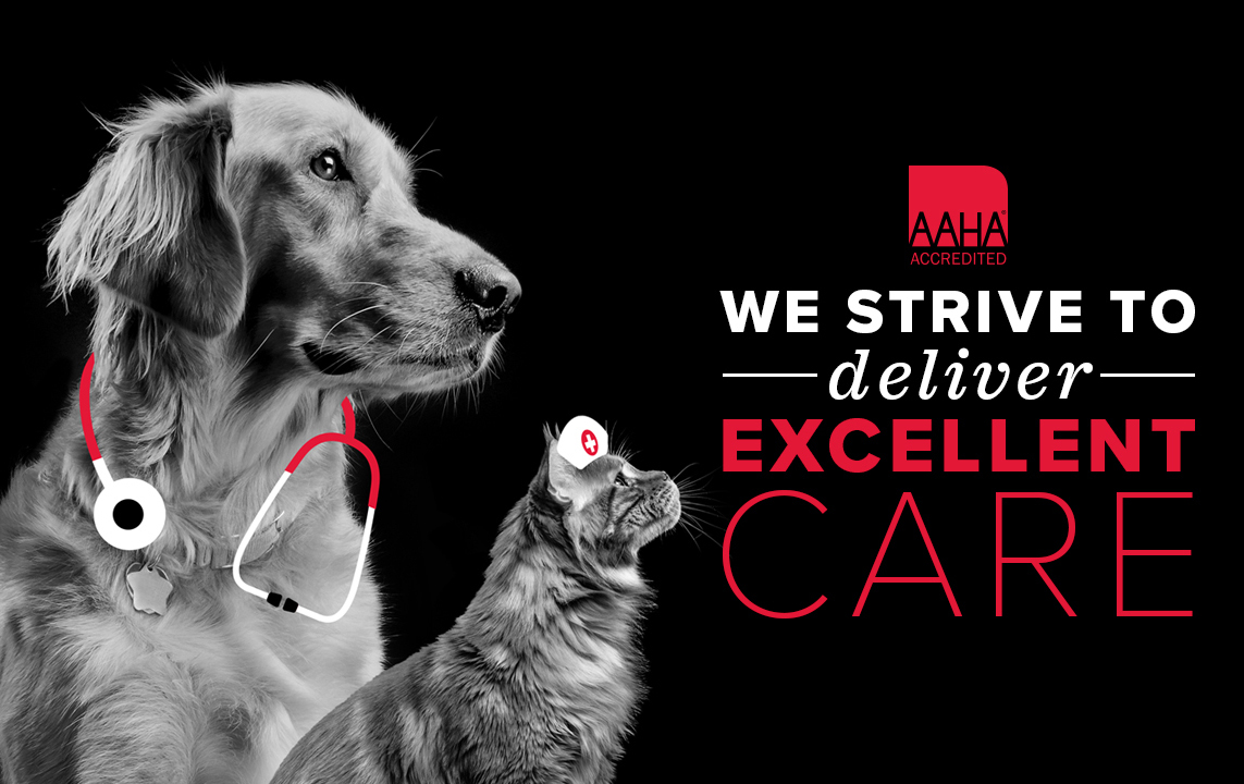 AAHA-Accredited — We strive to deliver excellent care