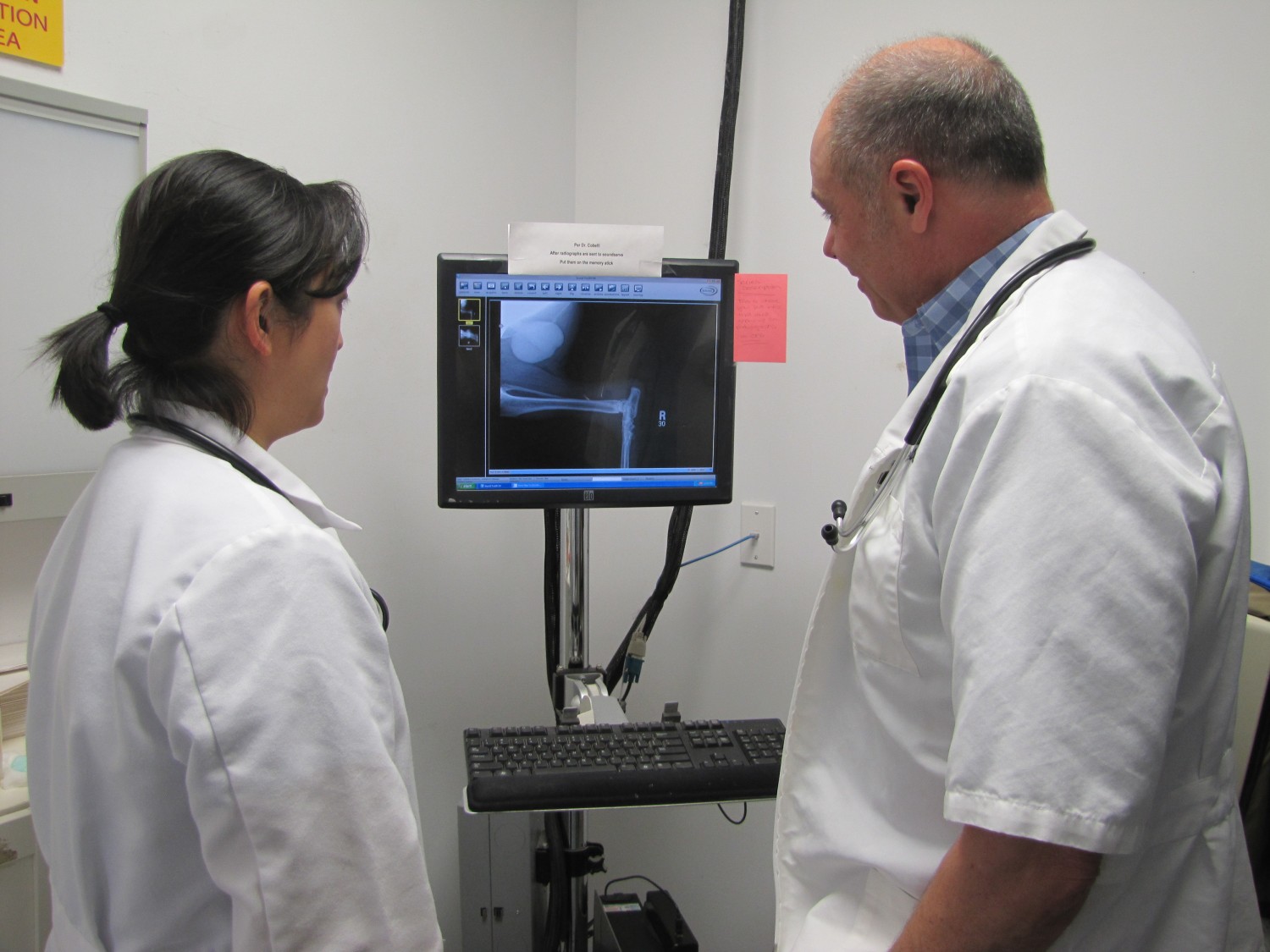 Dr. Chang & Dr. Jim examine a digital X-ray on our radiography display