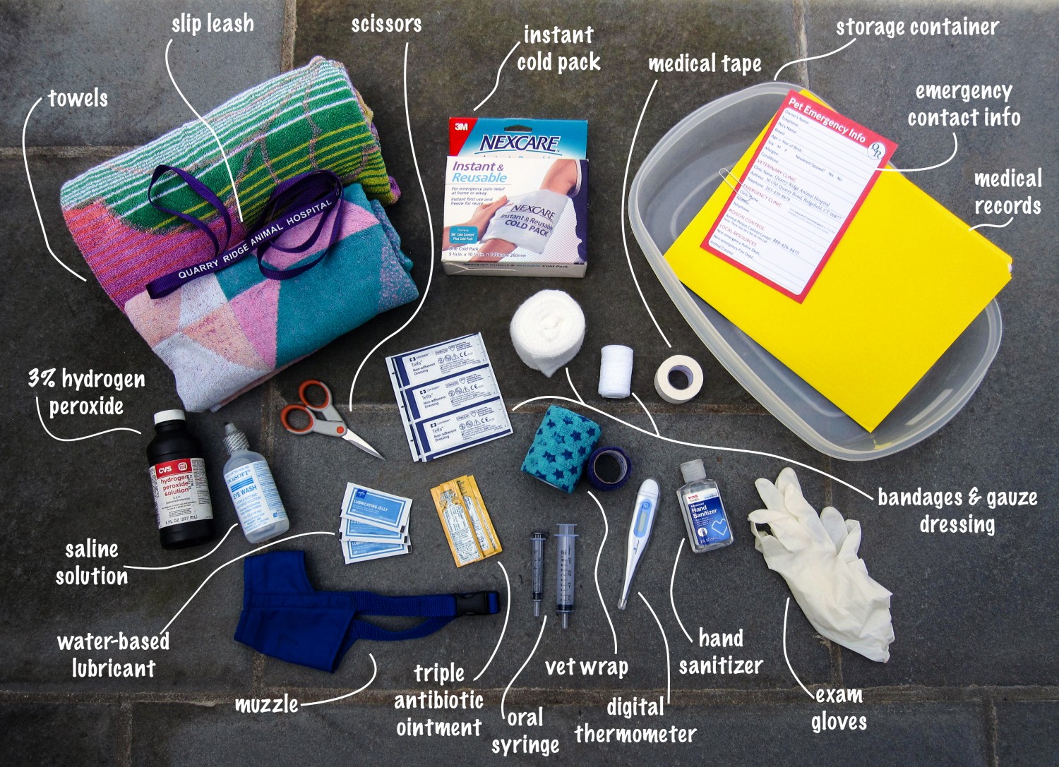 Here's a look inside our pet first aid kit